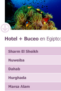 Hotel + Buceo en Egipto